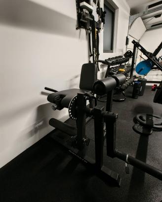 Leg Extension - Leg Curl - Kingsgym - Home Gym