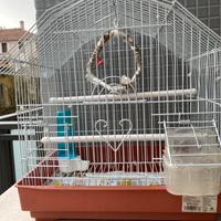 Gabbia per uccellini