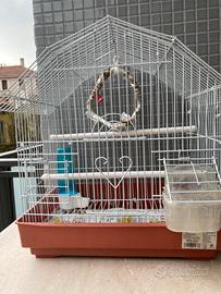Gabbia per uccellini