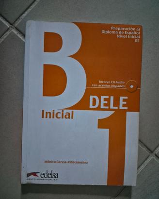 DELE B1