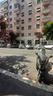negozio-roma-locale-bragadinvcg-