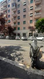 Negozio Roma [Locale BragadinVCG]