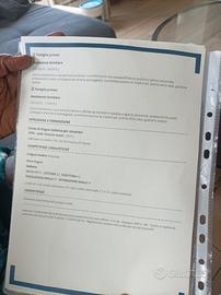 Pulizie anche bandate