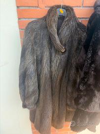 PELLICCIA DI CASTORO E PELLICCIA VISONE