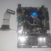 Scheda Madre Gigabyte GA-H81M-DV2 | 1150 | i5
