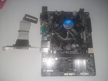 Scheda Madre Gigabyte GA-H81M-DV2 | 1150 | i5