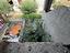 Immagine 8