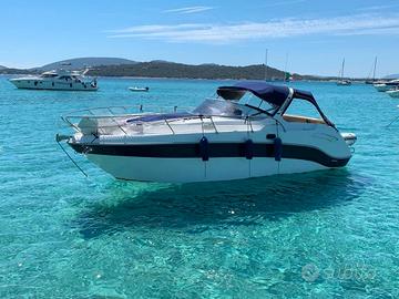 Saver 300 2010 2x270HP benzina, 9m