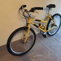 Bicicletta MTB  donna