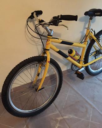 Bicicletta MTB  donna