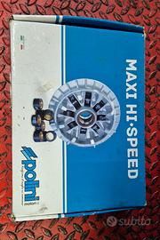Variatore Polini Maxi Hi-Speed 12 rulli tmax 500 2
