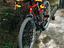 Immagine 6