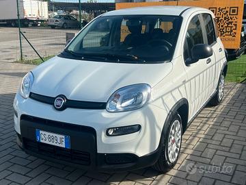 Fiat Panda 1.0 FireFly S&S Hybrid NOLEGGIO