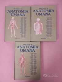 Trattato di anatomia umana - Anastasi