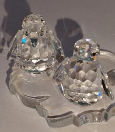 swarovski 2 pinguini su banchisa