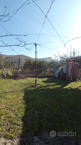 Terreno agricolo con pozzo