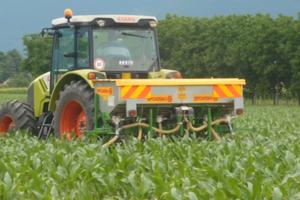 SPANDICONCIME sfoggia thema 6 file