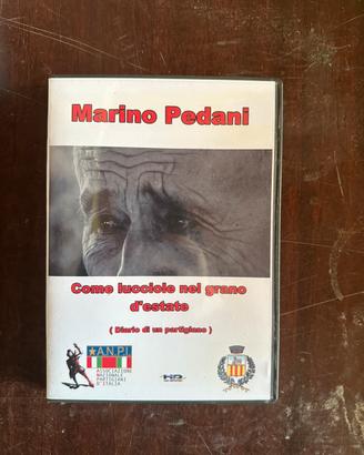 Diario di un partigiano Marino Pedani