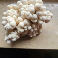 Stalactite minerale di cristalli di quarzo