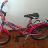 bicicletta FIREHORSE