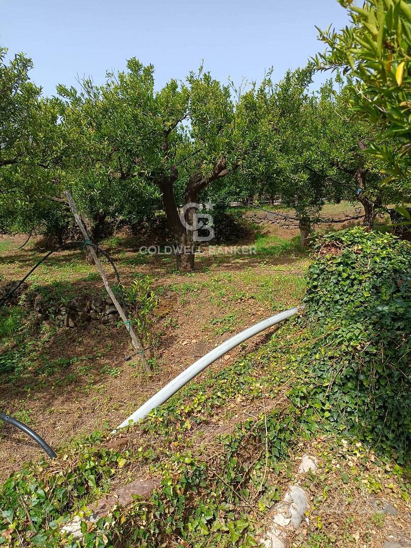 Terreno - Mascali - Altro