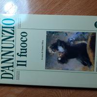 Il fuoco