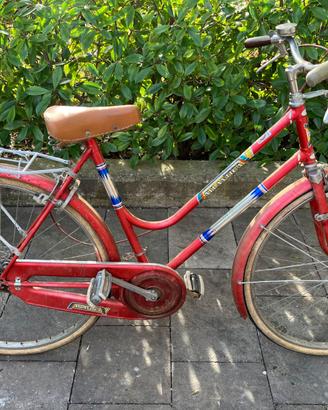 Bicicletta olandesina