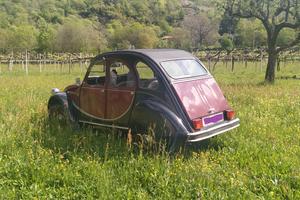 citroen 2 cv charleston