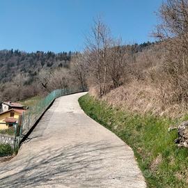 Terreno agricolo, bosco