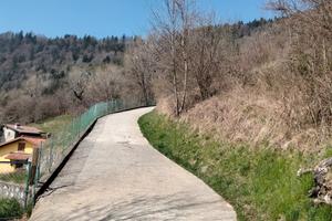 Terreno agricolo, bosco