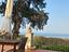 Immagine 19