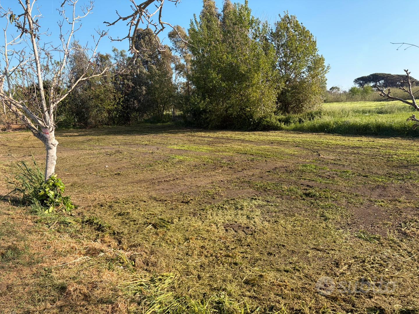 Terreno a 500 mt dal mare - Vista 4