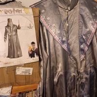 Costumi carnevale Harry Potter 