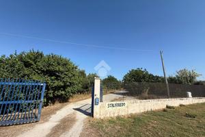 CAPANNONE A APRICENA
