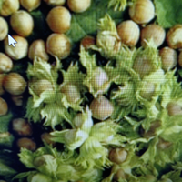 Terreno ideale per relax