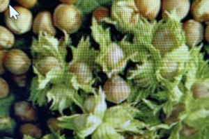 Terreno ideale per relax