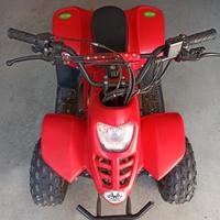 Mini quad per bambini 50cc