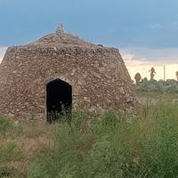 Terreno 1.30 ettari, Località Alcalina, Casalabate