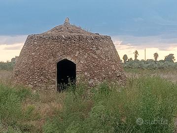 Terreno 1.30 ettari, Località Alcalina, Casalabate