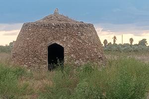 Terreno 1.30 ettari, Località Alcalina, Casalabate