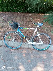Bici corsa olmo