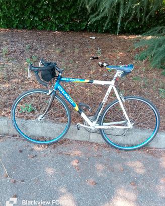 Bici corsa olmo