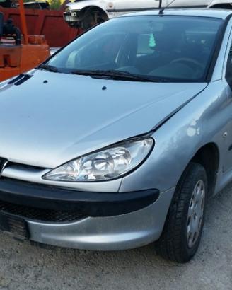 Ricambi Peugeot 206