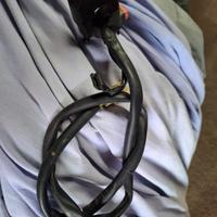 accensione transalp 60o