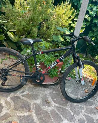 Bicicletta bambino