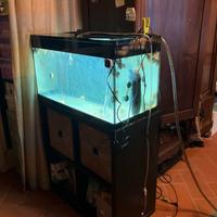 acquario askoll ultimo molto bello