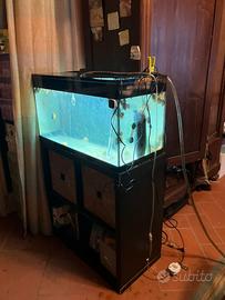 acquario askoll ultimo molto bello