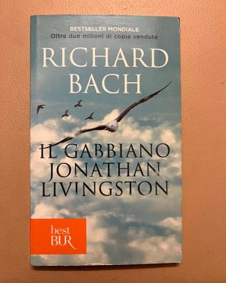 il gabbiano jonathan livingston