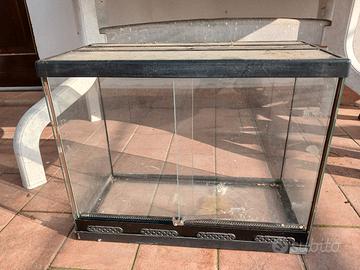 teca per rettili