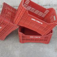 CASSETTE NUOVE PER UVA, FRUTTA , OLIVE, ORTAGGI